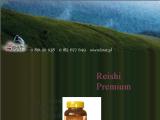 Grzyb Reishi Premium - koncentrat olejowy z zarodnikw
